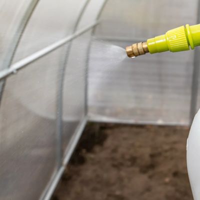 Обработка теплицы от болезней и вредителей: полный гид для дачника