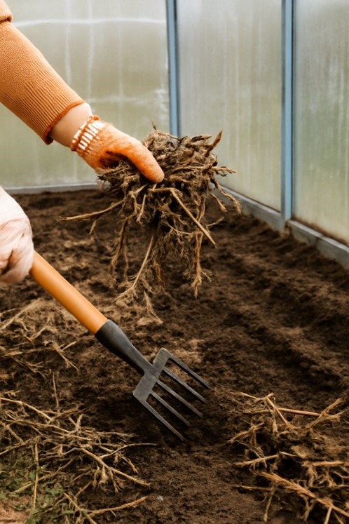 Уборка теплицы из поликарбоната перед зимой