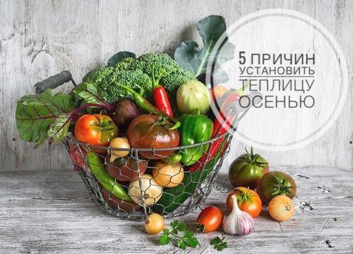 5 причин установить теплицу осенью